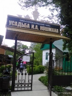Чай пить или медовуху?