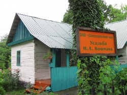 Чаепитие с блинами и салохаульским каштановым медом.